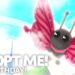 how-to-get-the-butterfly-pet-adopt-me-2021