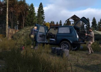 DayZ