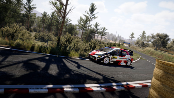 wrc-10-server-issues-2021