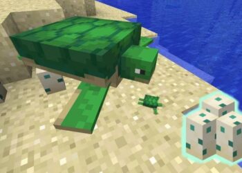 How Long Does It Take For Turtle Eggs To Hatch In Minecraft?