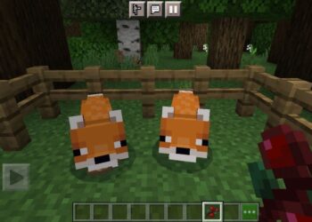 How to tame foxes in Minecraft