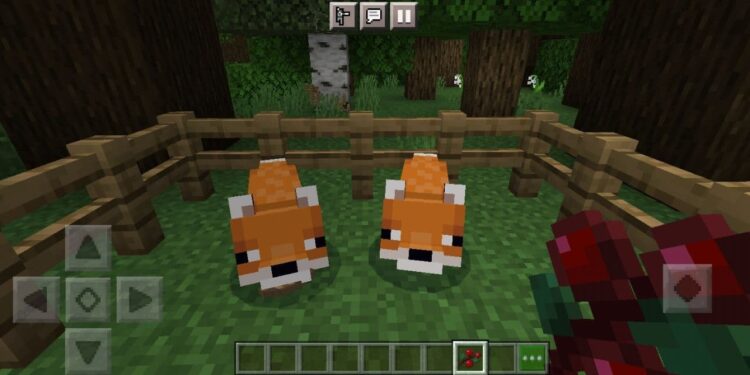 How to tame foxes in Minecraft