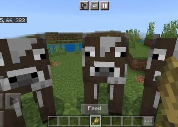 What do cows eat in Minecraft