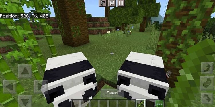 how to breed pandas in Minecraft