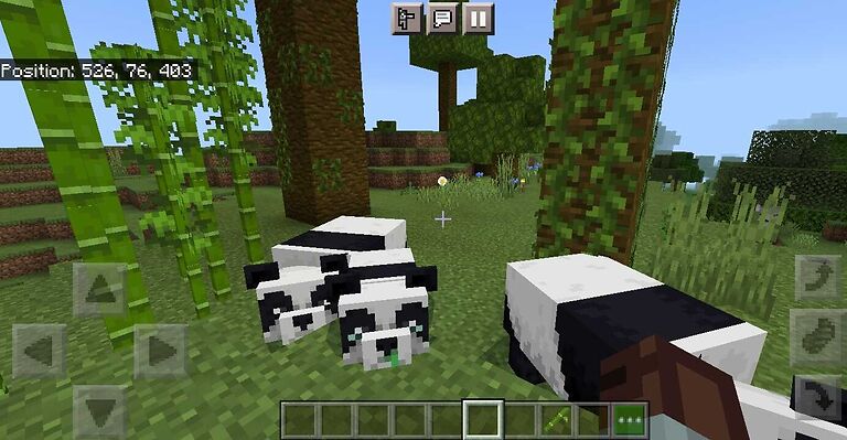 How to breed pandas in Minecraft 