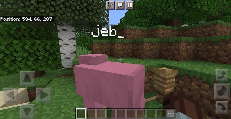 name tag in Minecraft 
