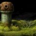 samorost-4-release-date-2022-min