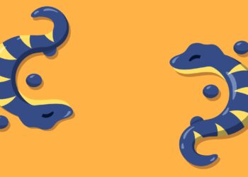 Adopt Me Salamander pet name ideas