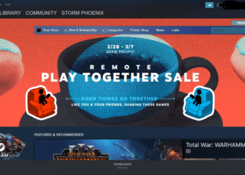 Steam remote play together not connecting: Fixes & Workarounds
