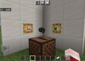 disc 11 in Minecraft