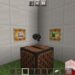 disc 11 in Minecraft