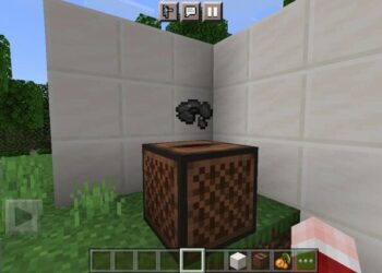 disc 11 Minecraft