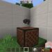 disc 11 Minecraft