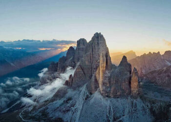 Dji fly app not working