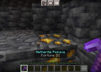 fortune in Minecraft