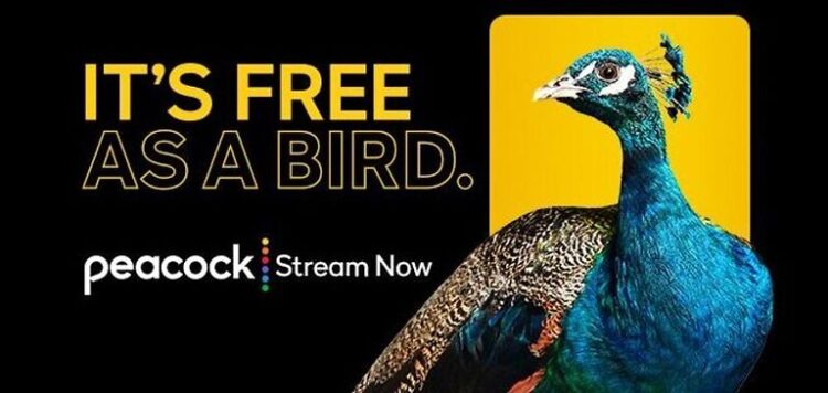 Can you get Peacock on Roku? - Android Gram