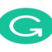 Grammarly Overleaf