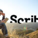 Scribd login