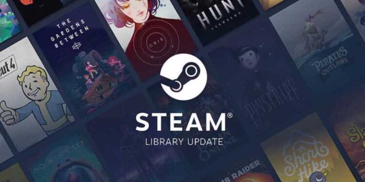 How to fix the Steam Store search not working issue