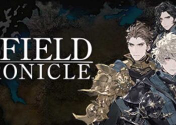 The DioField Chronicle Ultrawide Issue How to fix it