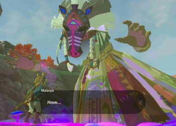 Zelda Tears of the Kingdom (ToTK) How to upgrade your Horse