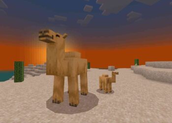 minecraft-camel-how-to-get-tame-breed-ft