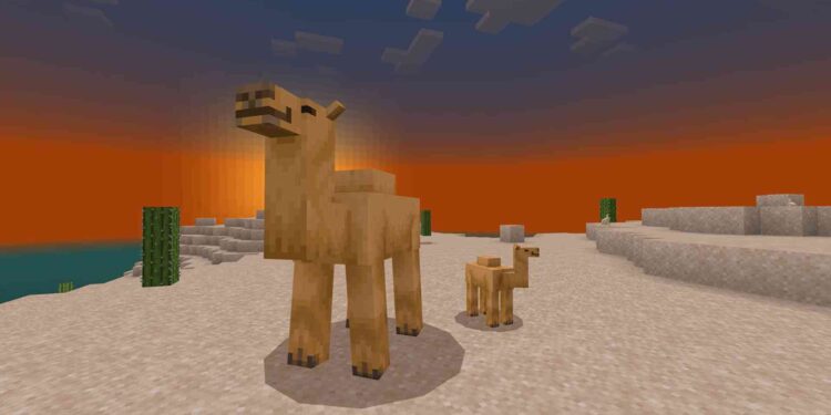 minecraft-camel-how-to-get-tame-breed-ft