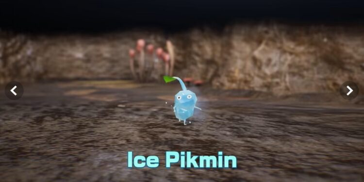 Pikmin 4: How to save Pikmin from dying