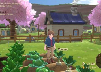 How to get and find Silver Ore in Harvest Moon The Winds of Anthos