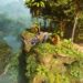 Ark Survival Ascended (ASA) Ankylosaurus Taming Guide: How to tame & get it