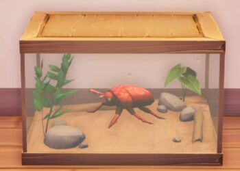 palia-raspberry-beetle-how-to-get-find-catch